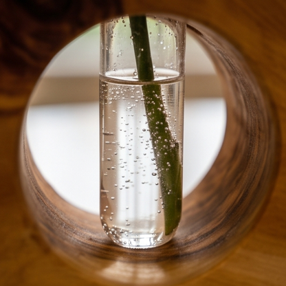 Rustic desktop propagation vase