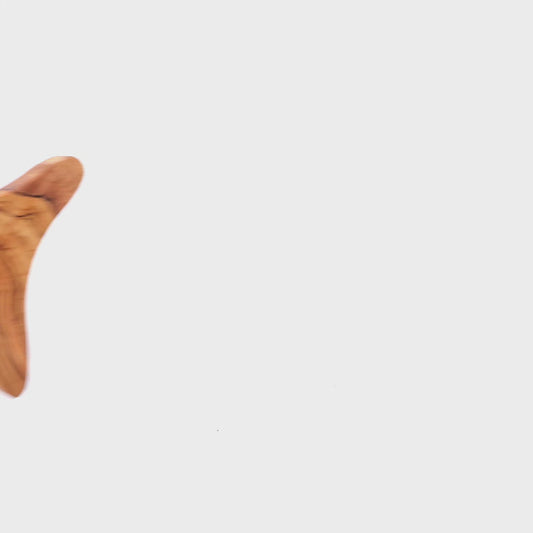 Fish Shaped Olive Wood Dish