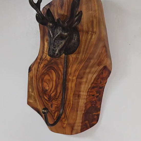 Antique Stag Head Single Wall Hook with Rustic olive wood base
