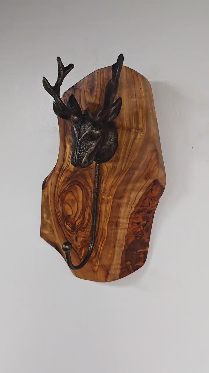 Antique Stag Head Single Wall Hook with Rustic olive wood base